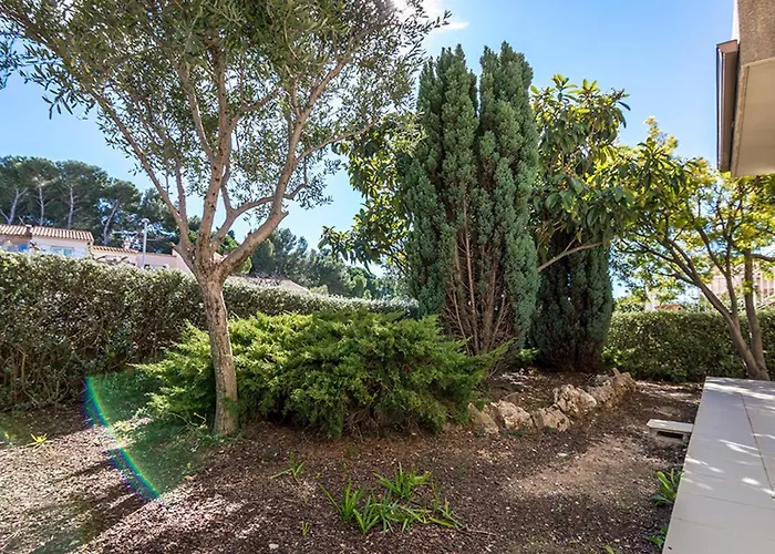 Lumineux A Bouzigues, A 50m, Jardin Et Parking - Fr-1-604-13